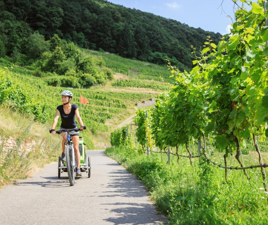 Ferienhaus Scheer Retz Bagian luar foto